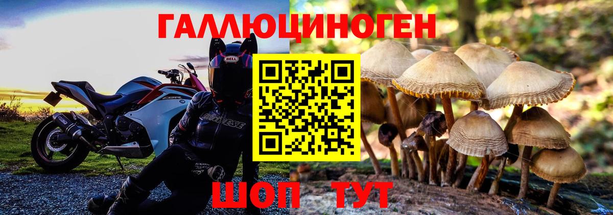 Кольчугино  Псилоцибиновые грибы GOLDEN TEACHER  Вход с VPN 